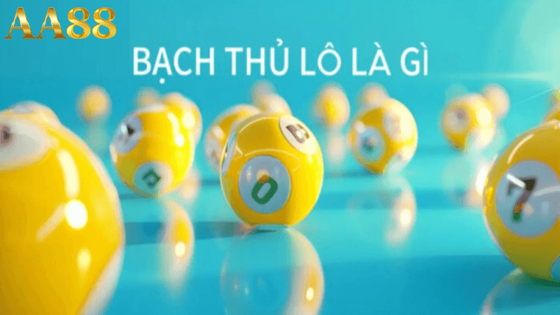 Bạch thủ lô miền bắc
