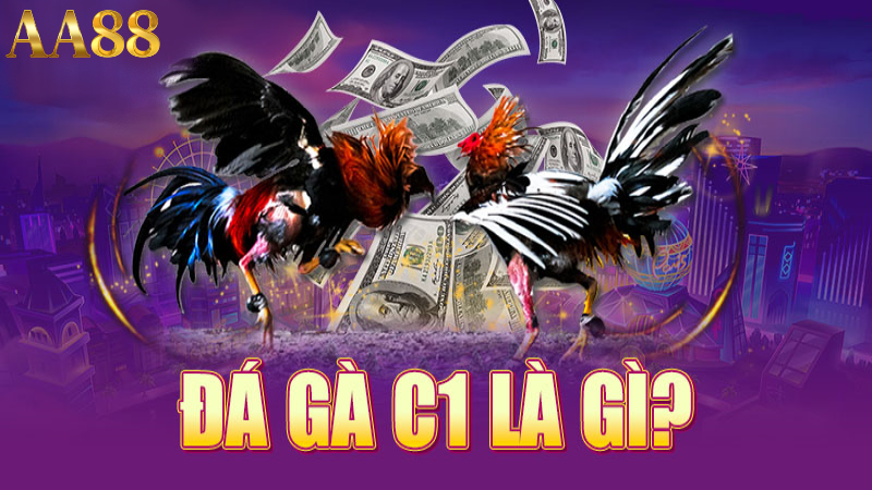 đá gà c1 là gì